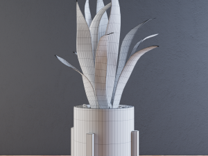 home plant 3D-Modell