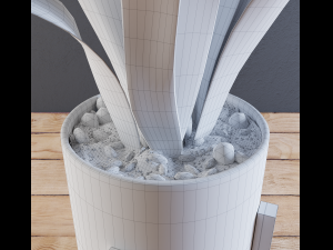 home plant 3D-Modell