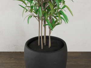 plant 3D Model