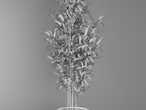 plant 3D Model