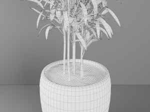 plant 3D Model