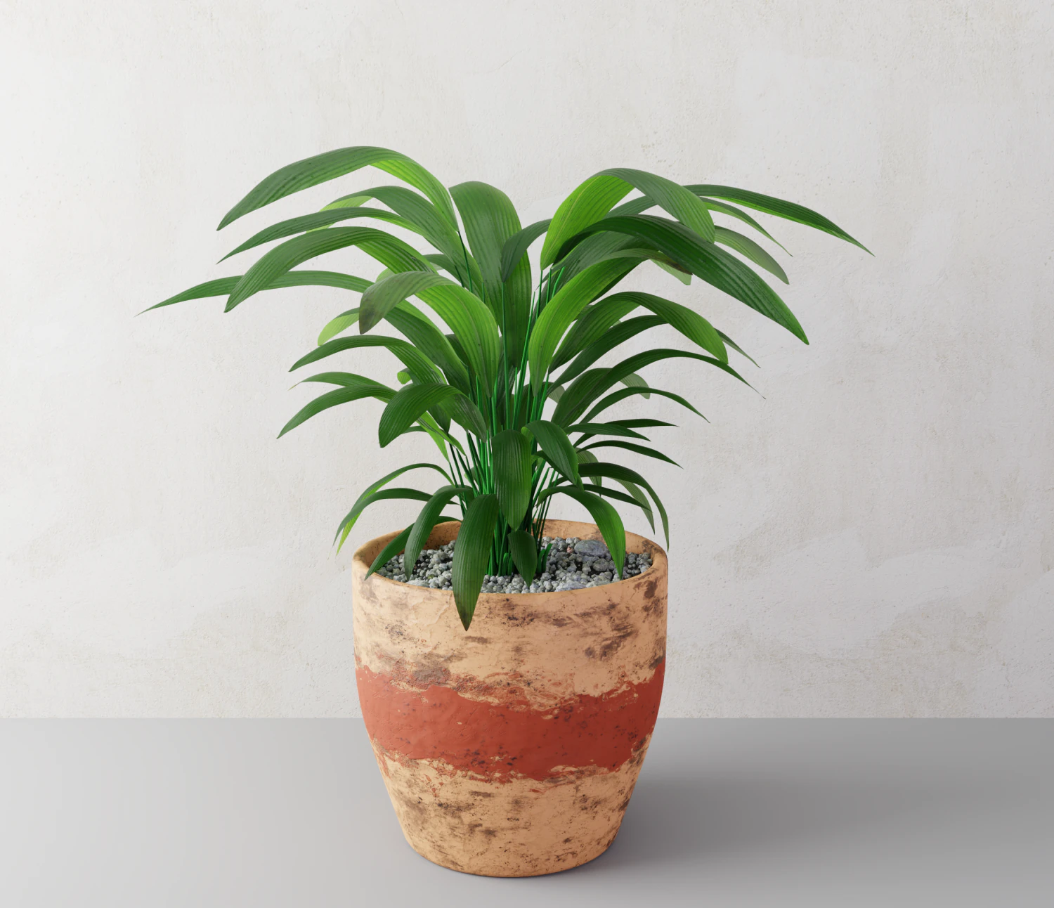 plant 3D Model .c4d .max .obj .3ds .fbx .stl .blend