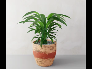 plant 3D Model