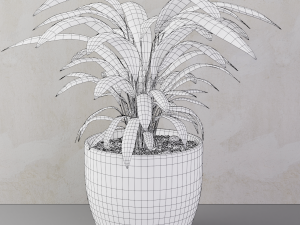 plant 3D Model