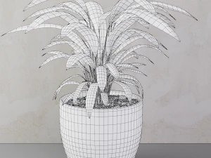 plant 3D Model