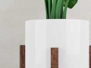 alocasia plant 3D 模型