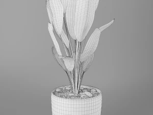 pot plant strelitzia 3D Model