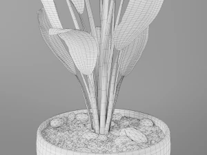 pot plant strelitzia 3D Model