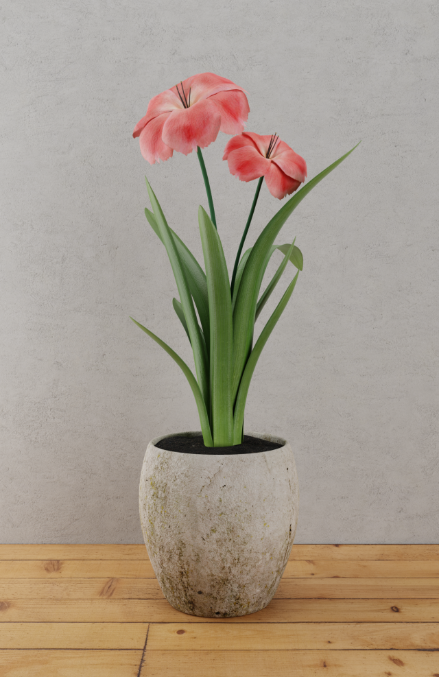 flower home plant low-poly Modèle 3D .c4d .max .obj .3ds .fbx .stl .blend