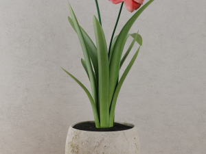 flower home plant low-poly 3D Модель