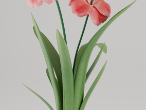 flower home plant low-poly Modèle 3D