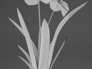 flower home plant low-poly Modèle 3D