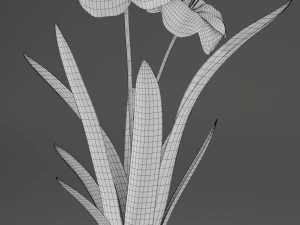 flower home plant low-poly 3D Model