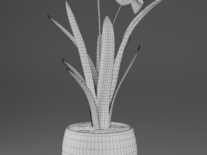 flower home plant low-poly Modèle 3D