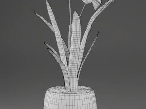 flower home plant low-poly 3D Model