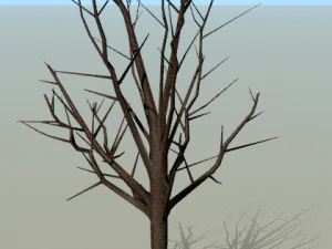 low poly tree for game without leaves set 3D Model
