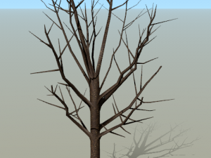 low poly tree for game without leaves set 3D Model