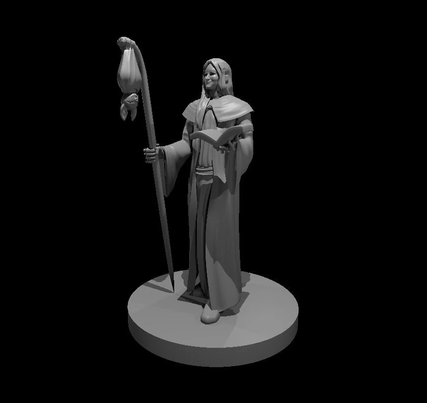 wizard with abat 3D Model .c4d .max .obj .3ds .fbx .stl .blend 