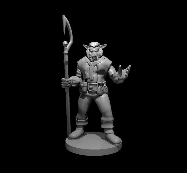 sorcerer 3D Print Model .c4d .max .obj .3ds .fbx .stl .blend 
