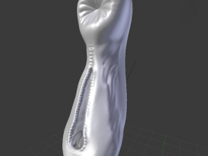 Mare Genitalia Rigged 3D Model