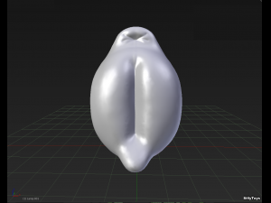 Pig Genitalia 3D Model