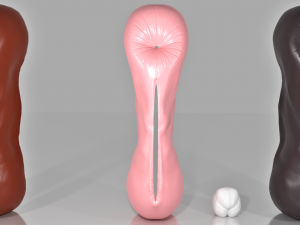 Mare Genitalia 3D Model