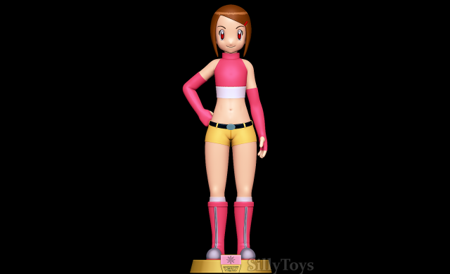 Hikari Yagami - Digimon 3D Print Model .c4d .max .obj .3ds .fbx .stl .blend 