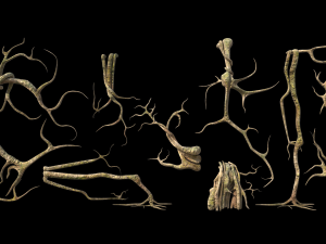 roots or vines pack low-poly 3D Model
