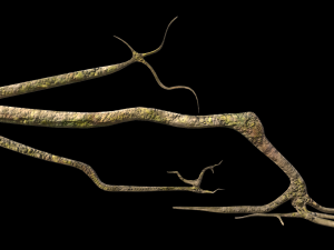 roots or vines pack low-poly Model 3D