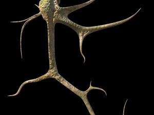 roots or vines pack low-poly Model 3D