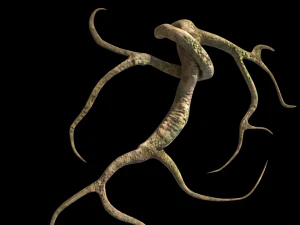 roots or vines pack low-poly 3D Model