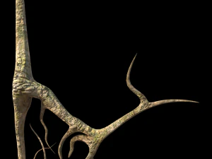 roots or vines pack low-poly 3D Model