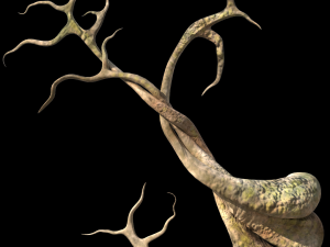 roots or vines pack low-poly Model 3D