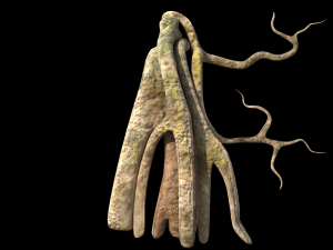 roots or vines pack low-poly Model 3D