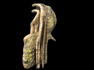 roots or vines pack low-poly Model 3D