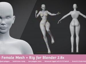 base meshes character starter kit rig 3D Model