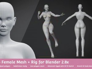 base meshes character starter kit rig 3D Model