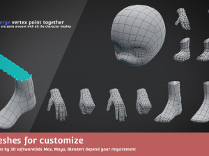 base meshes character starter kit rig 3D Model