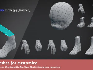 base meshes character starter kit rig 3D Model
