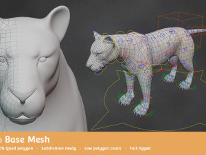 lion big cat base mesh Model 3D