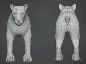lion big cat base mesh Model 3D