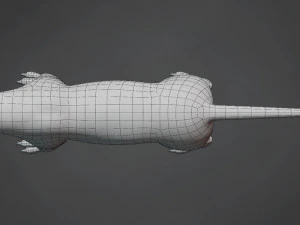 lion big cat base mesh 3D Model