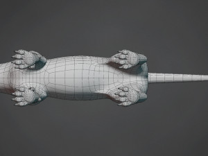 lion big cat base mesh Model 3D