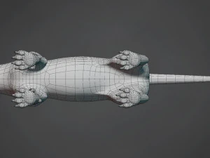 lion big cat base mesh 3D Model