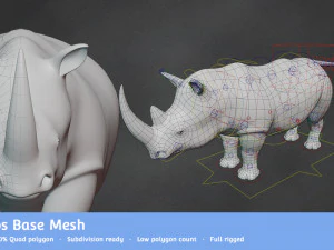 rhinoceros base mesh 3D Model