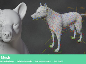 wolf base mesh 3D Model