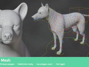 maglia base lupo Modello 3D