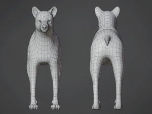 wolf base mesh 3D Model
