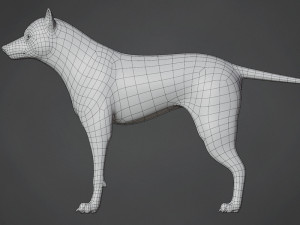 wolf base mesh 3D Model
