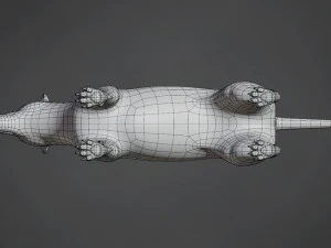 maglia base lupo Modello 3D